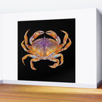 Dungeness crab Wall Mural Gallery Image 2