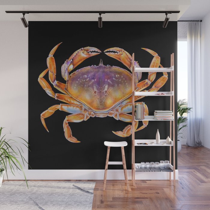 Dungeness crab Wall Mural
