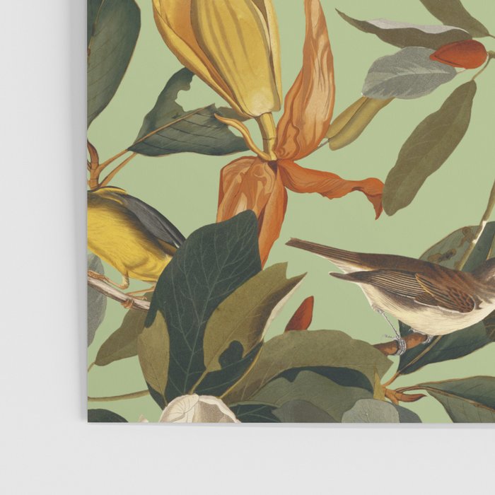 World of Birds VII Poster Gallery Image 3