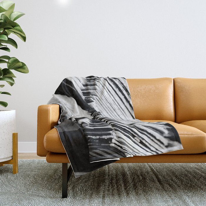 record albums music aesthetic elegant mood art photography  Throw Blanket Gallery Image 1