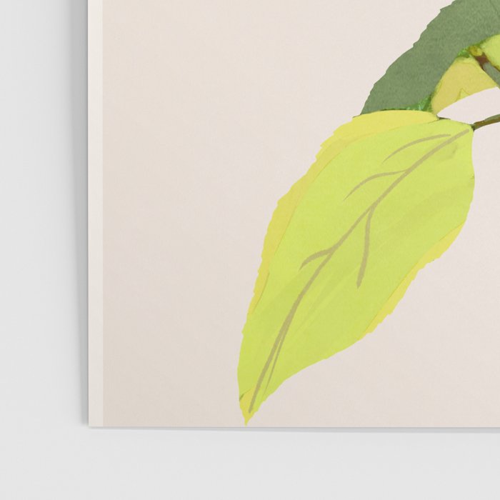 Colorful Plant Poster Gallery Image 3