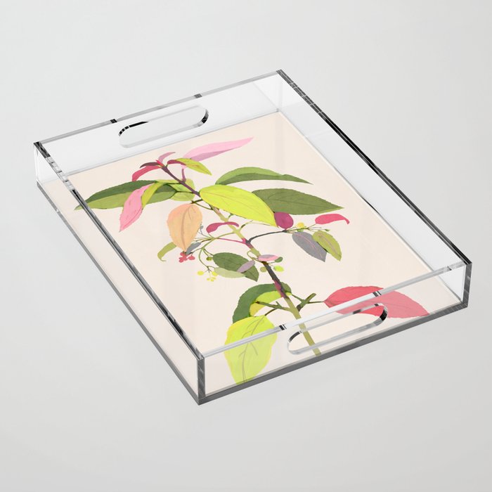 Colorful Plant Acrylic Tray Gallery Image 1