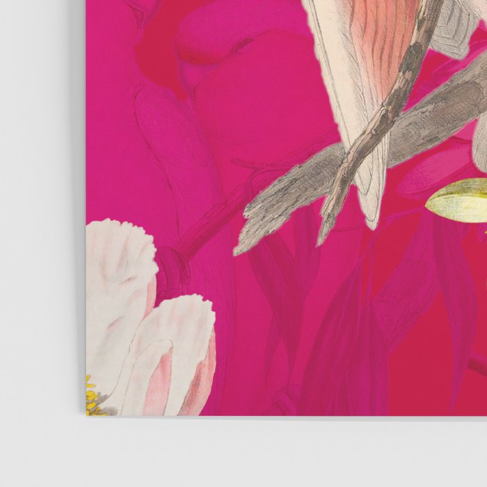 Vintage & Shabby Chic - Tropical Bird Flower Garden Poster Gallery Image 3