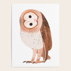 Barn Owl Poster Gallery Image 4