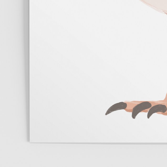Barn Owl Poster Gallery Image 3