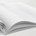 The Bear Notebook Gallery Image 2