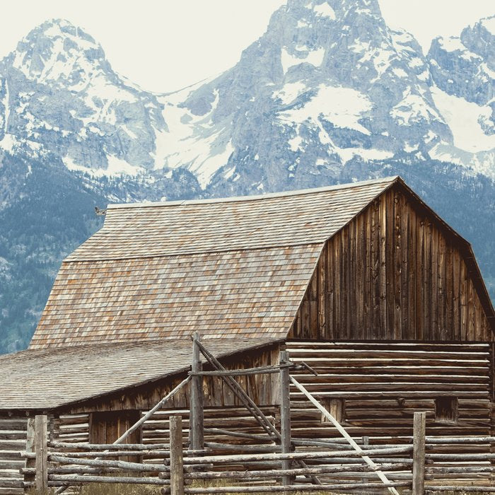 A Rocky Mountain Adventure - The Grand Tetons Coffee Mug Gallery Image 2