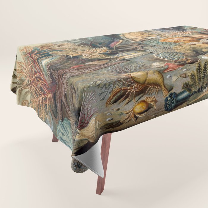 Ocean Life by James M Sommerville 1859 Funky Quirky Cute Cozy Boho Maximalism Maximalist Tablecloth Gallery Image 1