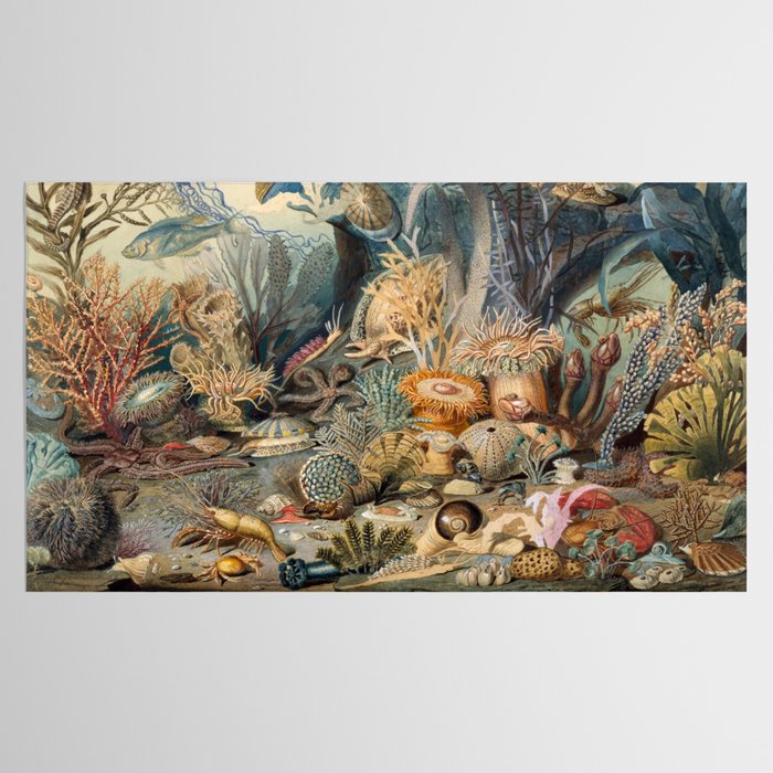 Ocean Life by James M Sommerville 1859 Funky Quirky Cute Cozy Boho Maximalism Maximalist Tablecloth Gallery Image 2