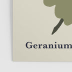 Scorpio red geranium  Poster Gallery Image 3