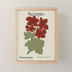 Scorpio red geranium  Mini Art Print Gallery Image 1