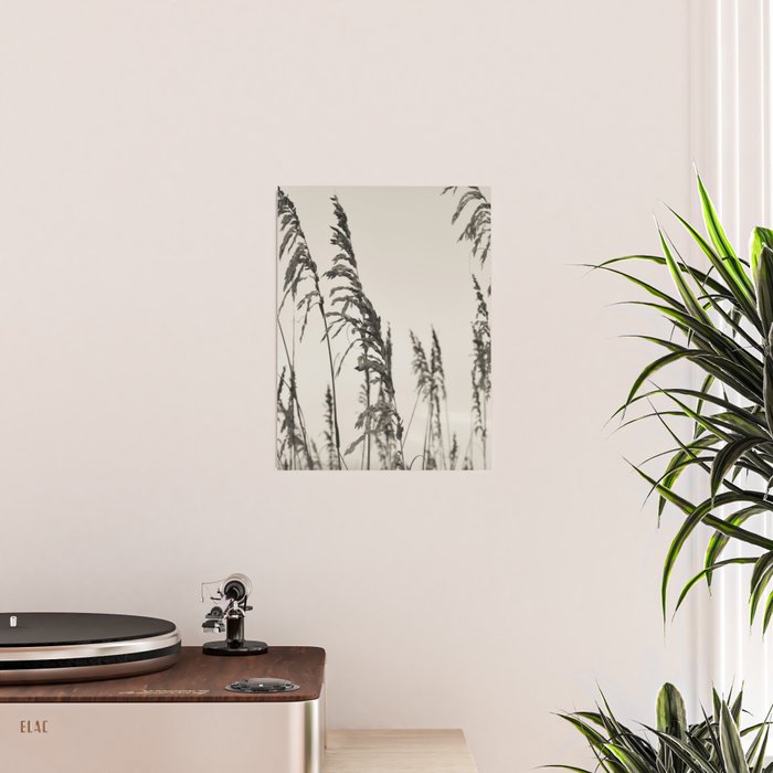Casual Poster Gallery Image 2