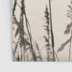 Casual Poster Gallery Image 3