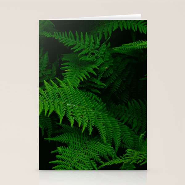 Fern Stationery Card Gallery Image 1