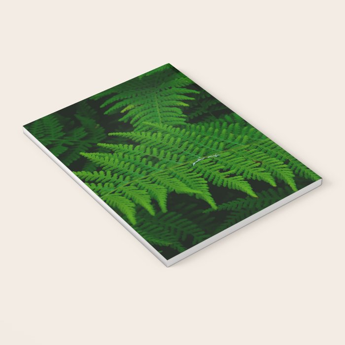 Fern Notebook Gallery Image 3