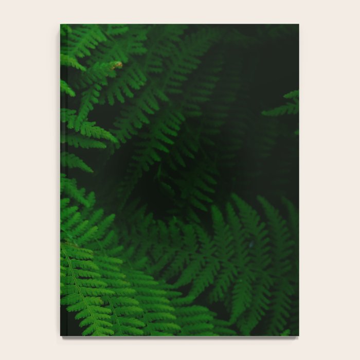 Fern Notebook Gallery Image 4