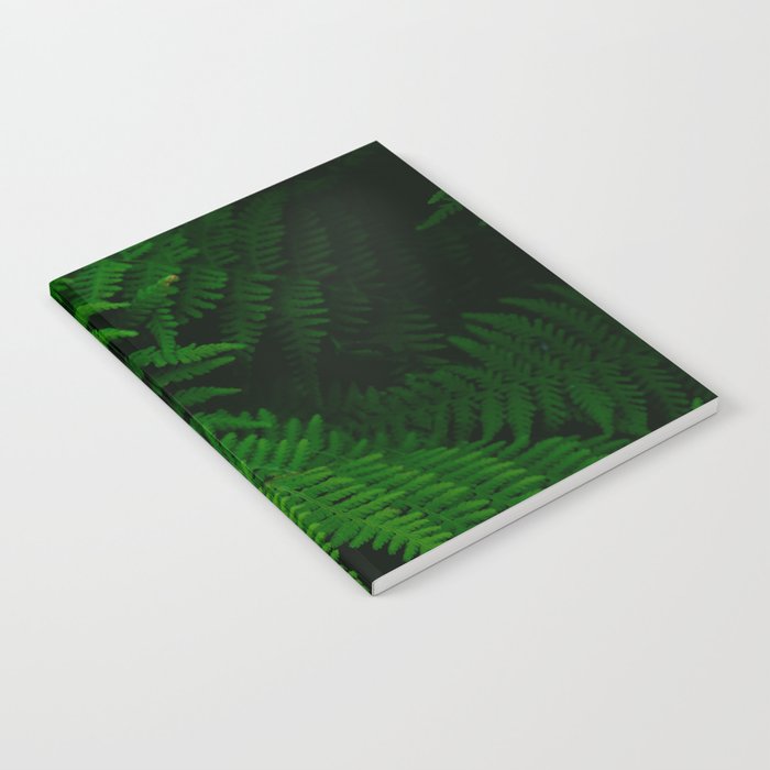 Fern Notebook Gallery Image 2
