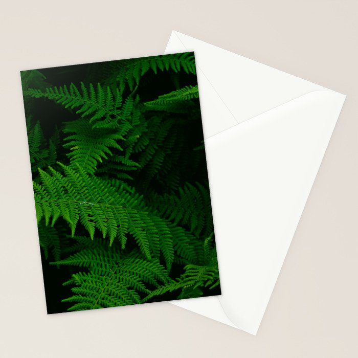 Fern Stationery Card Gallery Image 2