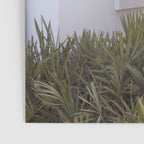 Alys Beach no. 2 x Florida Photography Poster Gallery Image 3