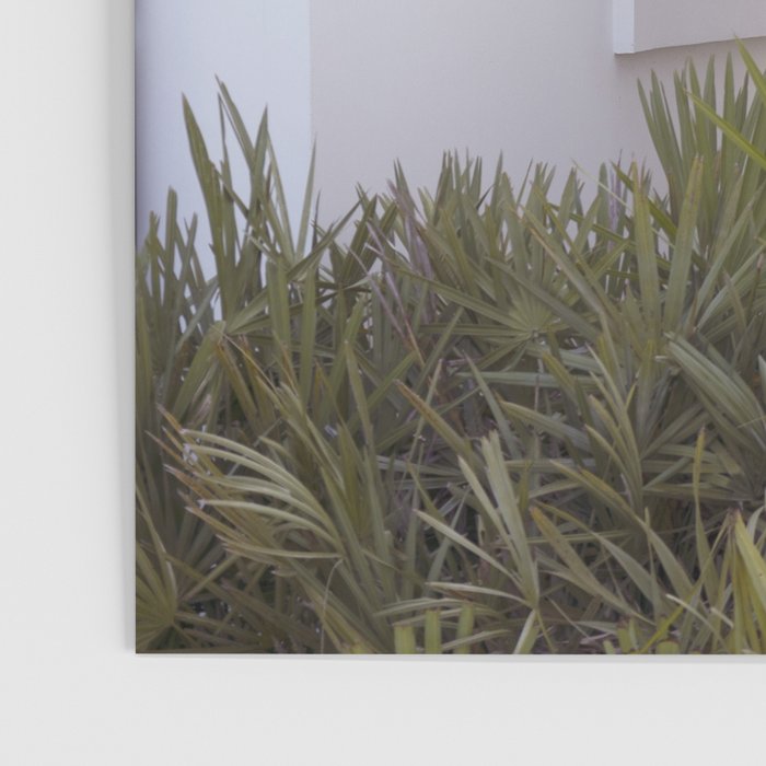 Alys Beach no. 2 x Florida Photography Poster Gallery Image 3