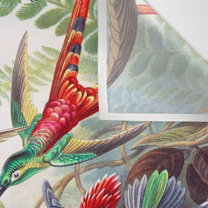 Beautiful colorful Hummingbirds from Art Forms of Nature (1904) landscape painting by Ernst Haeckel Wall Tapestry Gallery Image 3