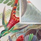 Beautiful colorful Hummingbirds from Art Forms of Nature (1904) landscape painting by Ernst Haeckel Wall Tapestry Gallery Image 3