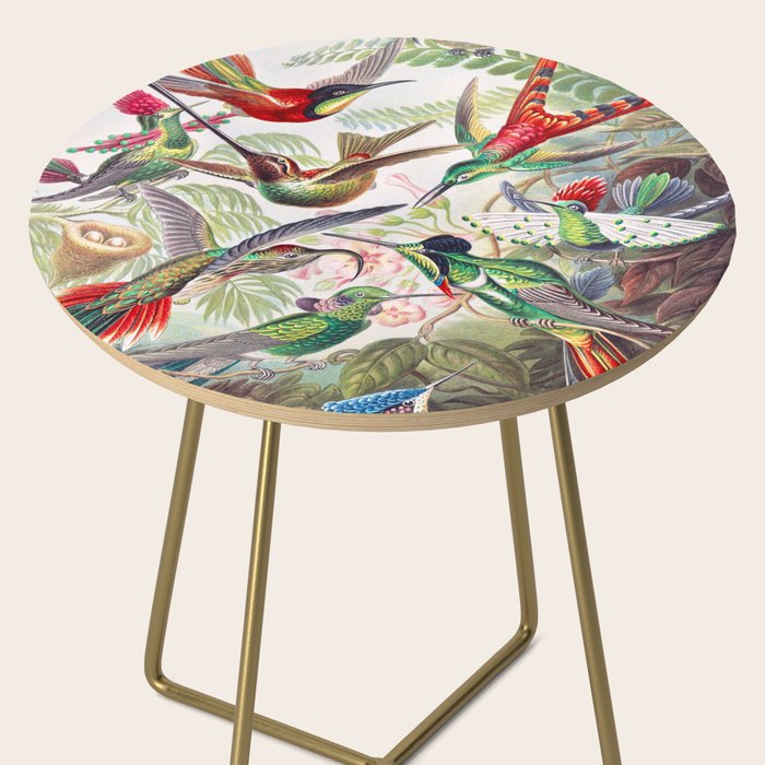 Beautiful colorful Hummingbirds from Art Forms of Nature (1904) landscape painting by Ernst Haeckel Side Table Gallery Image 2