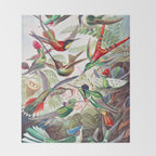 Beautiful colorful Hummingbirds from Art Forms of Nature (1904) landscape painting by Ernst Haeckel Throw Blanket Gallery Image 2