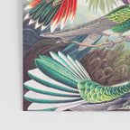 Beautiful colorful Hummingbirds from Art Forms of Nature (1904) landscape painting by Ernst Haeckel Poster Gallery Image 3