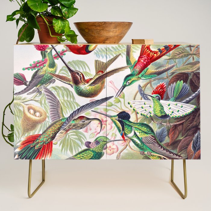 Beautiful colorful Hummingbirds from Art Forms of Nature (1904) landscape painting by Ernst Haeckel Credenza Gallery Image 1