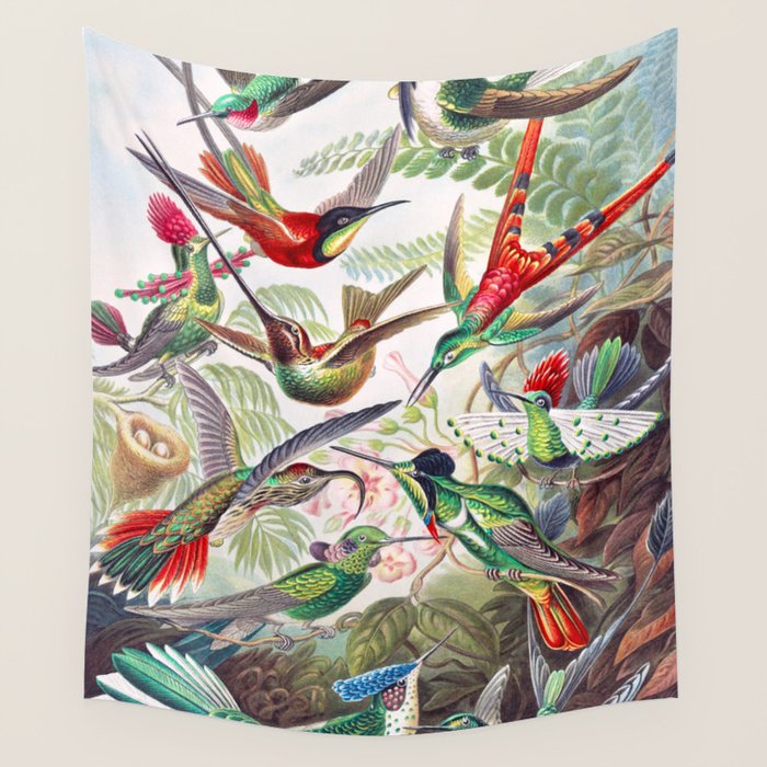 Beautiful colorful Hummingbirds from Art Forms of Nature (1904) landscape painting by Ernst Haeckel Wall Tapestry Gallery Image 4