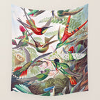 Beautiful colorful Hummingbirds from Art Forms of Nature (1904) landscape painting by Ernst Haeckel Wall Tapestry Gallery Image 4