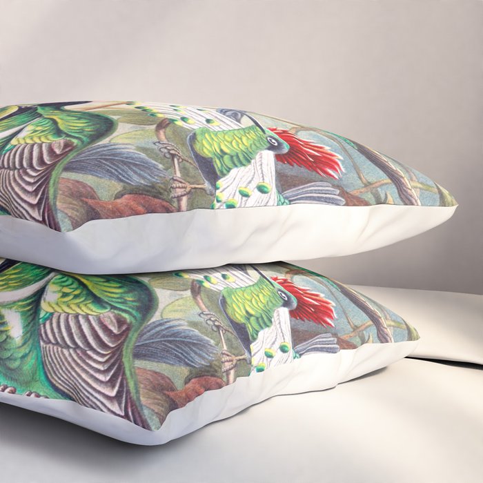 Beautiful colorful Hummingbirds from Art Forms of Nature (1904) landscape painting by Ernst Haeckel Pillow Sham Gallery Image 3