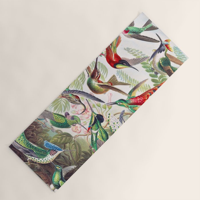 Beautiful colorful Hummingbirds from Art Forms of Nature (1904) landscape painting by Ernst Haeckel Yoga Mat Gallery Image 1