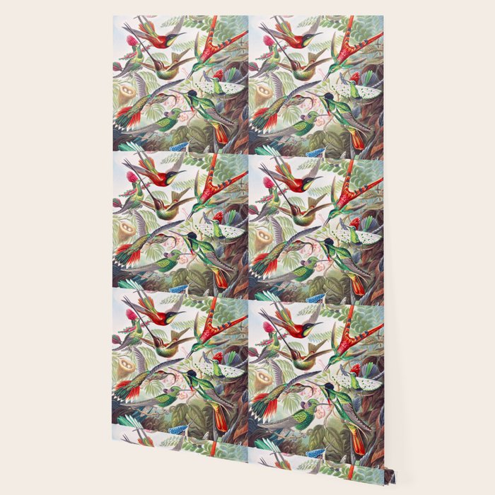 Beautiful colorful Hummingbirds from Art Forms of Nature (1904) landscape painting by Ernst Haeckel Wallpaper Gallery Image 2