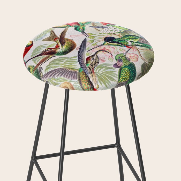 Beautiful colorful Hummingbirds from Art Forms of Nature (1904) landscape painting by Ernst Haeckel Stool Gallery Image 2