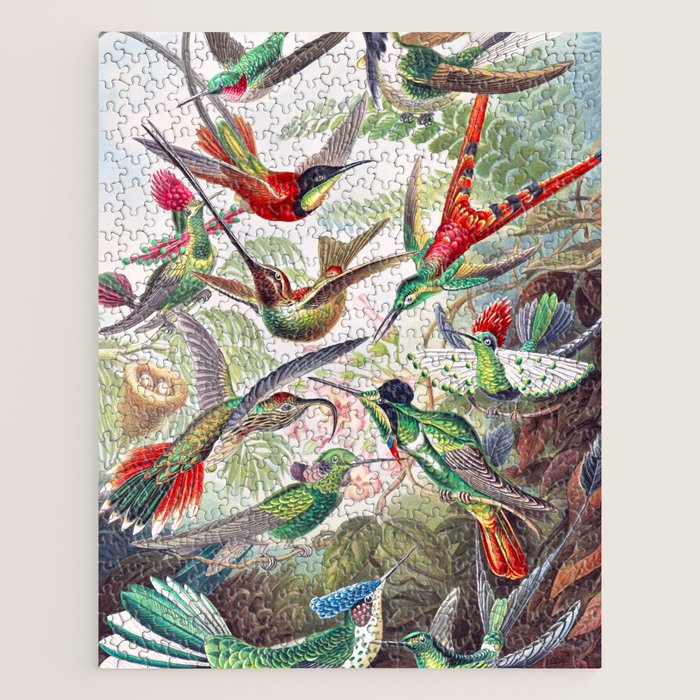 Beautiful colorful Hummingbirds from Art Forms of Nature (1904) landscape painting by Ernst Haeckel Jigsaw Puzzle Gallery Image 1