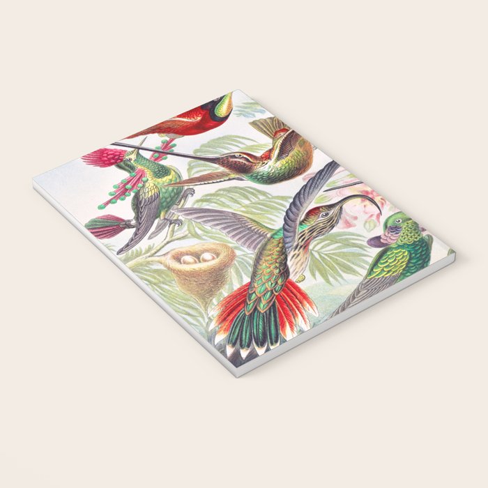 Beautiful colorful Hummingbirds from Art Forms of Nature (1904) landscape painting by Ernst Haeckel Notebook Gallery Image 3
