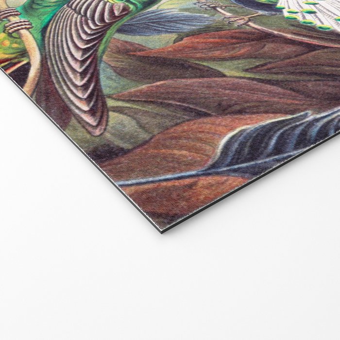 Beautiful colorful Hummingbirds from Art Forms of Nature (1904) landscape painting by Ernst Haeckel Welcome Mat Gallery Image 2