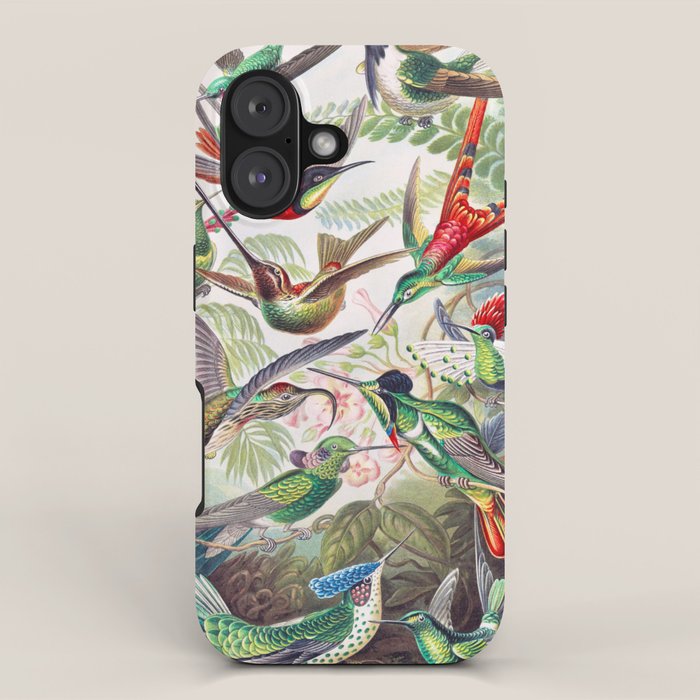 Beautiful colorful Hummingbirds from Art Forms of Nature (1904) landscape painting by Ernst Haeckel iPhone Case Gallery Image 1