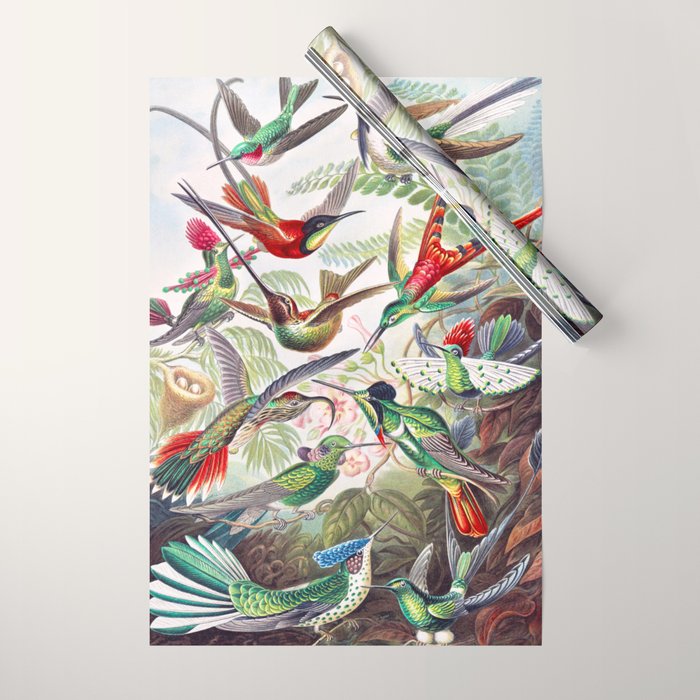 Beautiful colorful Hummingbirds from Art Forms of Nature (1904) landscape painting by Ernst Haeckel Wrapping Paper Gallery Image 1