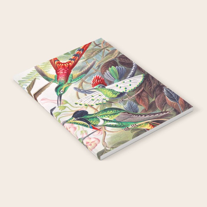 Beautiful colorful Hummingbirds from Art Forms of Nature (1904) landscape painting by Ernst Haeckel Notebook Gallery Image 1