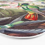 Beautiful colorful Hummingbirds from Art Forms of Nature (1904) landscape painting by Ernst Haeckel Bath Mat Gallery Image 3