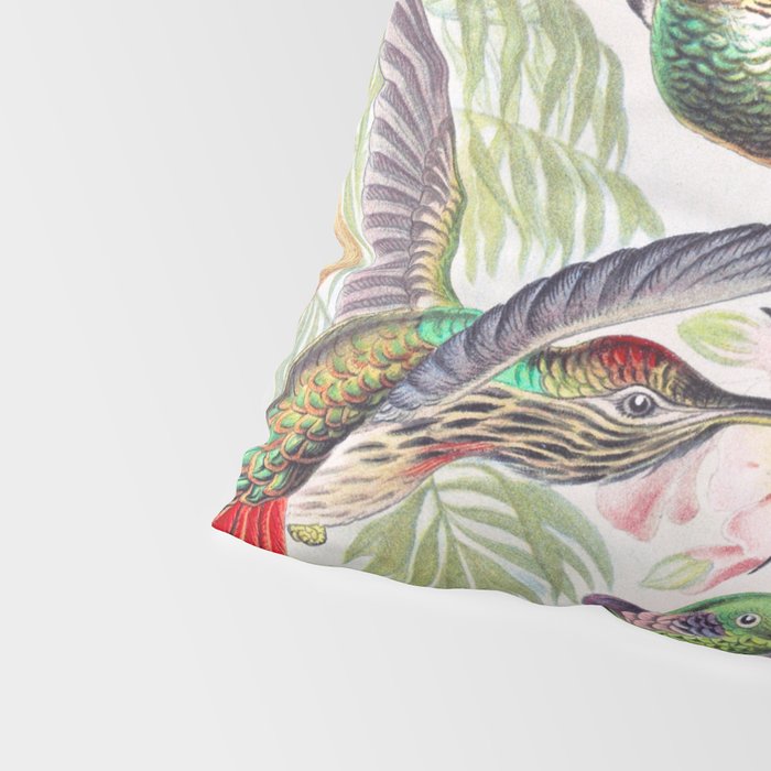 Beautiful colorful Hummingbirds from Art Forms of Nature (1904) landscape painting by Ernst Haeckel Pillow Sham Gallery Image 4