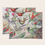 Beautiful colorful Hummingbirds from Art Forms of Nature (1904) landscape painting by Ernst Haeckel Placemat Gallery Image 1