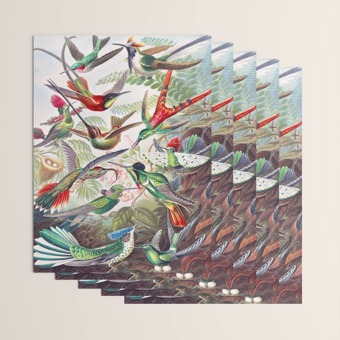 Beautiful colorful Hummingbirds from Art Forms of Nature (1904) landscape painting by Ernst Haeckel Wrapping Paper Gallery Image 3