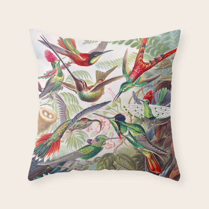 Beautiful colorful Hummingbirds from Art Forms of Nature (1904) landscape painting by Ernst Haeckel Throw Pillow Gallery Image 1