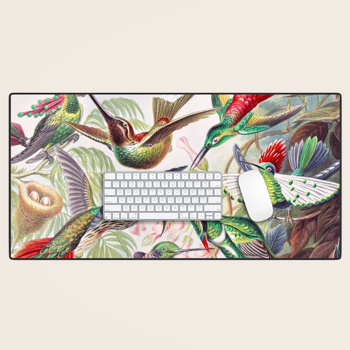 Beautiful colorful Hummingbirds from Art Forms of Nature (1904) landscape painting by Ernst Haeckel Desk Mat Gallery Image 1