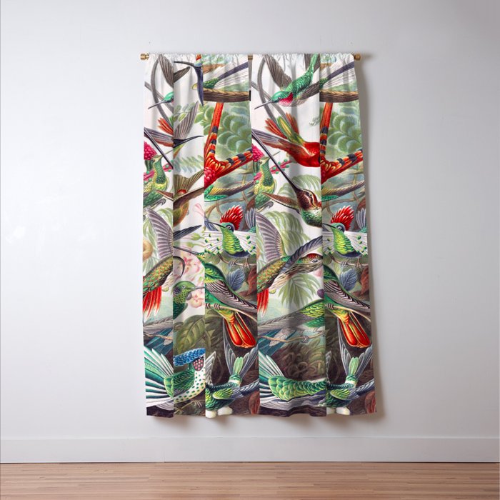 Beautiful colorful Hummingbirds from Art Forms of Nature (1904) landscape painting by Ernst Haeckel Window Curtain Gallery Image 3