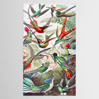 Beautiful colorful Hummingbirds from Art Forms of Nature (1904) landscape painting by Ernst Haeckel Tablecloth Gallery Image 2